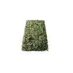 Citromfű 50 g szálas tea