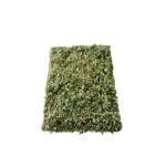 Palástfű 50 g szálas tea