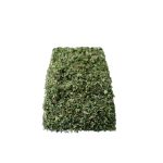 Orvosi citromfű levél 50 g szálas tea