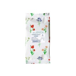 Gyermekláncfű gyökér 30 g szálas tea 