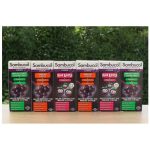 Sambucol fekete bodza szirup gyermek 120ml