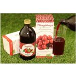 Mannavita TŐZEGÁFONYA gyümölcslé 100%-os, 500ml