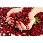 Mannavita TŐZEGÁFONYA gyümölcslé 100%-os, 500ml
