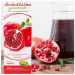 Mannavita GRÁNÁTALMA gyümölcslé 100%-os, 1000ml