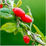 Prémium Nagyszemű GOJI bogyó mag, 200g