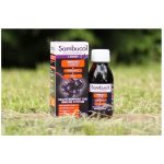 Sambucol fekete bodza Immuno forte - 120ml