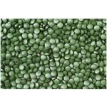Mannavita CHLORELLA tabletta 500mg étrend-kiegészítő, 180db
