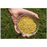 MannaVita Nyers GALAGONYA virágpor - 150g