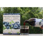 Mannavita Fekete Áfonya lé 100%-os, 500ml