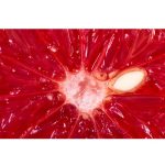 Mannavita Grapefruitmag kivonat csepp, 100ml