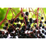 Mannavita FERRO Flavonoid lekvár, 230g