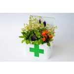 Mannavita Mester BALZSAM, 12 aktív növényi hatóanyag, 300ml