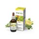 Natur Tanya® E. FitoTree Baktériumölő, fertőtlenítő grapefruit, teafa, rozmaring és kakukkfű olaj - Külsőleg/Belsőleg! 30 ml