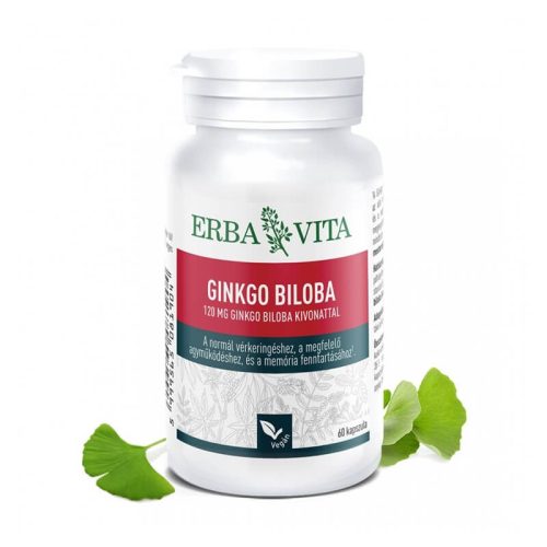 Natur Tanya® E. GINKGO BILOBA - 120 mg Ginkgo biloba kivonat, normál vérkeringés, megfelelő agyműködés és memória
