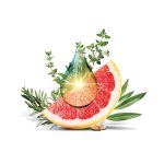 Natur Tanya® TEAFAOLAJ KOMPLEX 30 ML - Teafa olaj, kakukkfű olaj, rozmaring olaj, grapefruitmag és hosszú bors kivonatok, csepp formában