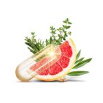 Natur Tanya® TEAFAOLAJ EXTRA – Standardizált növényi összetevők, mikrokapszulázott teafa olajjal