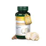 Vitaking Süngomba kivonat 500 mg - 60 kapszula